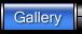 my gallery